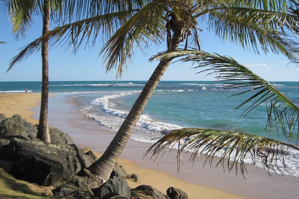 Comfortable And Affordable Deal Close To Beach And Rainforest Рио Гранде Екстериор снимка